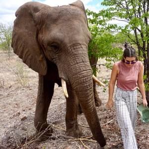 Meet your Posher, Elizabeth